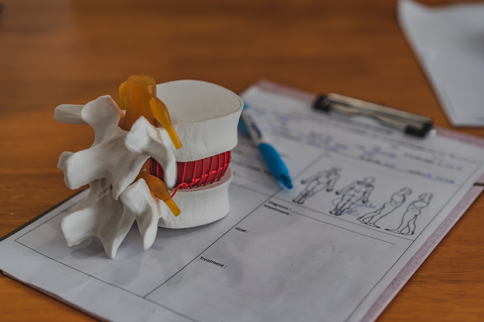 Lumbar spine model on table in Physiotherapy clinic11